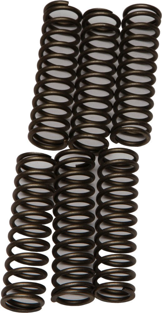 EBC CSK109 Redline Clutch Springs - sxspowersports