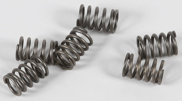 EBC CSK114 Redline Clutch Springs - sxspowersports