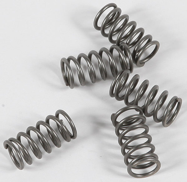 EBC CSK116 Redline Clutch Springs - sxspowersports