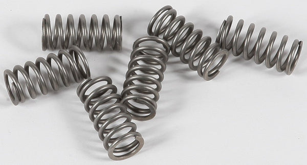 EBC CSK117 Redline Clutch Springs - sxspowersports