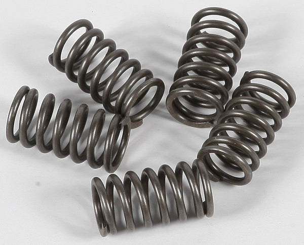 EBC CSK118 Redline Clutch Springs - sxspowersports