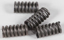 EBC CSK12 Redline Clutch Springs - sxspowersports