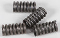 EBC CSK12 Redline Clutch Springs - sxspowersports