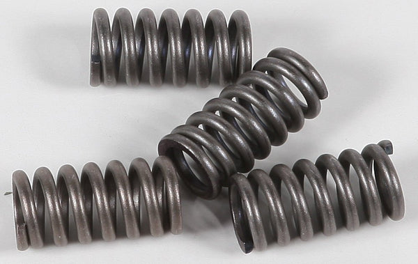 EBC CSK12 Redline Clutch Springs - sxspowersports