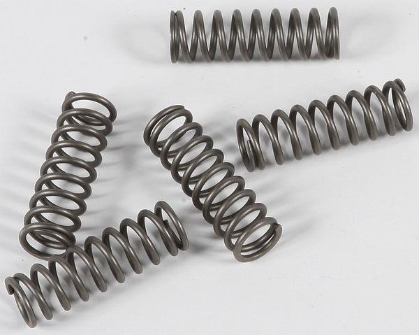 EBC CSK124 Redline Clutch Springs - sxspowersports