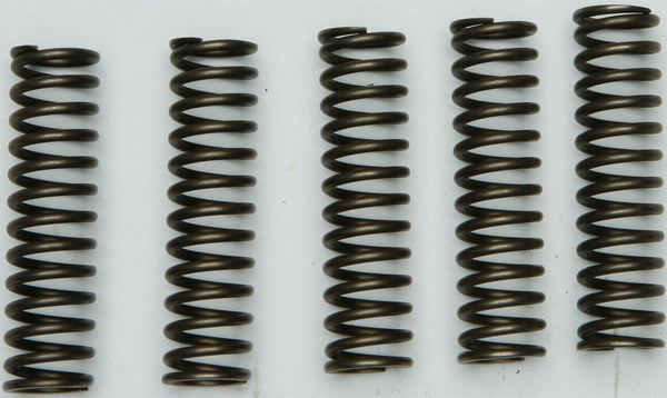 EBC CSK128 Redline Clutch Springs - sxspowersports