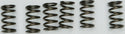 EBC CSK130 Redline Clutch Springs - sxspowersports