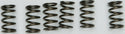 EBC CSK130 Redline Clutch Springs - sxspowersports