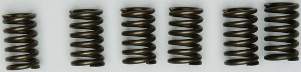 EBC CSK131 Redline Clutch Springs - sxspowersports