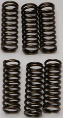 EBC CSK145 Redline Clutch Springs - sxspowersports