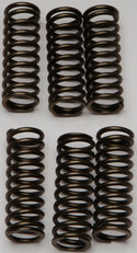 EBC CSK145 Redline Clutch Springs - sxspowersports
