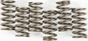 EBC CSK158 Redline Clutch Springs - sxspowersports