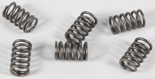 EBC CSK161 Redline Clutch Springs - sxspowersports