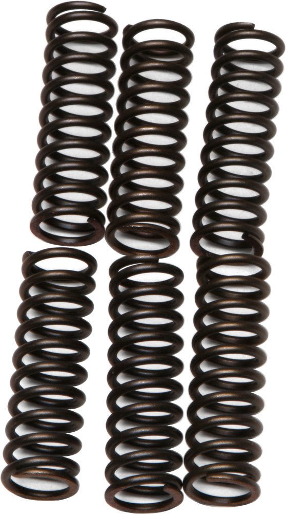 EBC CSK17 Redline Clutch Springs - sxspowersports