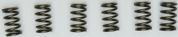 EBC CSK171 Redline Clutch Springs - sxspowersports