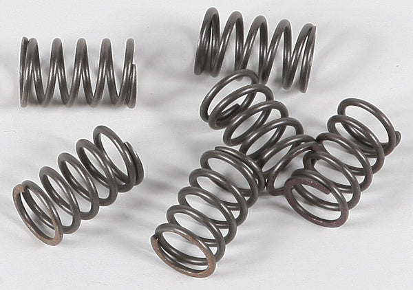EBC CSK18 Redline Clutch Springs - sxspowersports