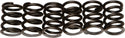 EBC CSK19 Redline Clutch Springs - sxspowersports