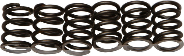 EBC CSK19 Redline Clutch Springs - sxspowersports