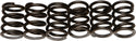 EBC CSK19 Redline Clutch Springs - sxspowersports