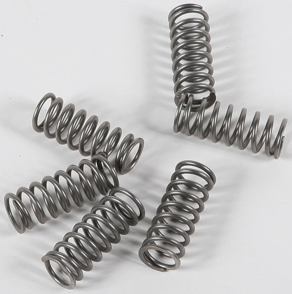 EBC CSK198 Redline Clutch Springs - sxspowersports
