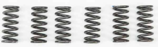 EBC CSK2 Redline Clutch Springs - sxspowersports