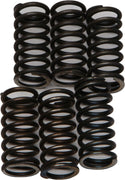 EBC CSK200 Redline Clutch Springs - sxspowersports