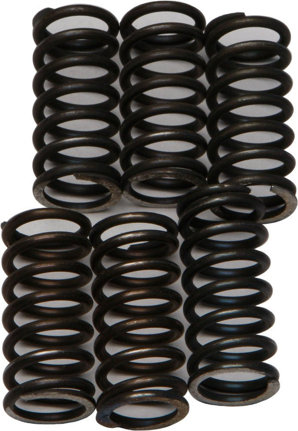 EBC CSK200 Redline Clutch Springs - sxspowersports