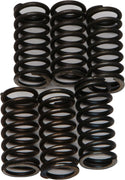 EBC CSK200 Redline Clutch Springs - sxspowersports