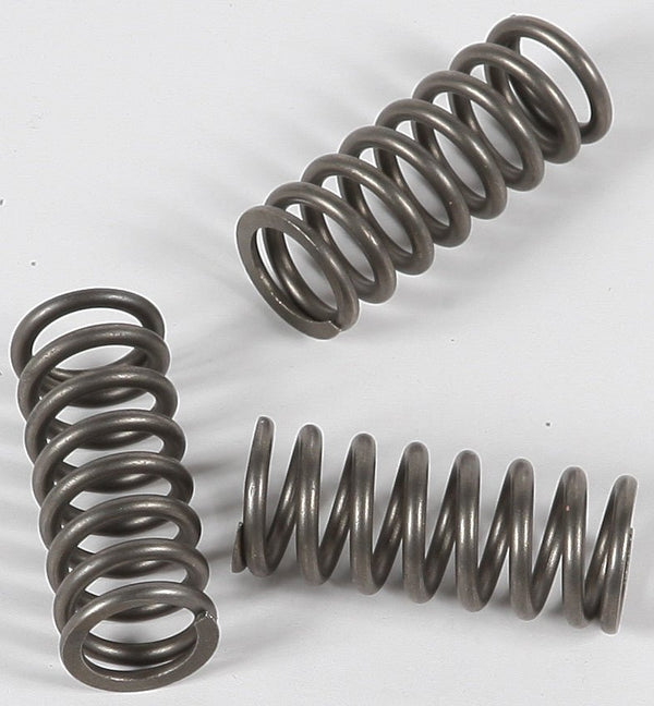 EBC CSK202 Redline Clutch Springs - sxspowersports