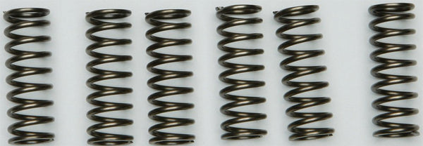 EBC CSK205 Redline Clutch Springs - sxspowersports