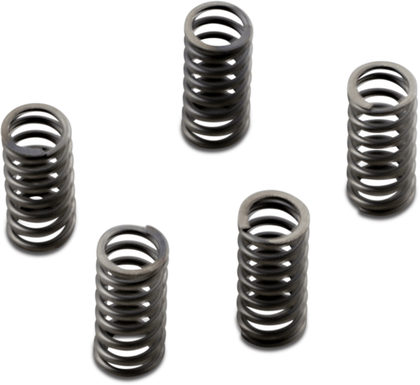 EBC CSK232 CSK Clutch Spring Kit - sxspowersports