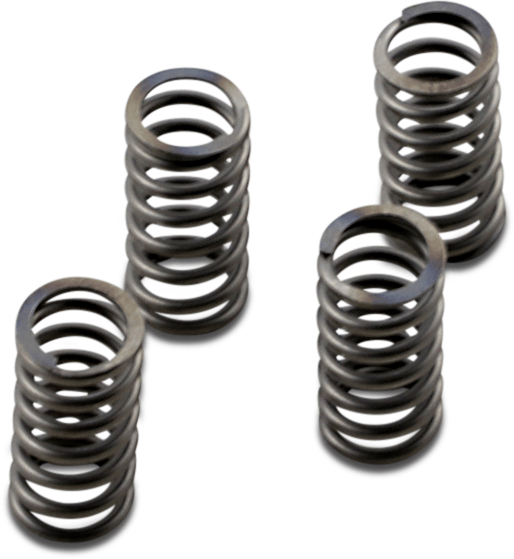 EBC CSK233 CSK Clutch Spring Kit - sxspowersports