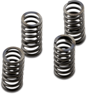 EBC CSK233 CSK Clutch Spring Kit - sxspowersports