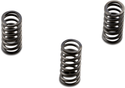 EBC CSK235 CSK Clutch Spring Kit - sxspowersports