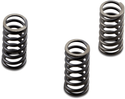 EBC CSK236 CSK Clutch Spring Kit - sxspowersports