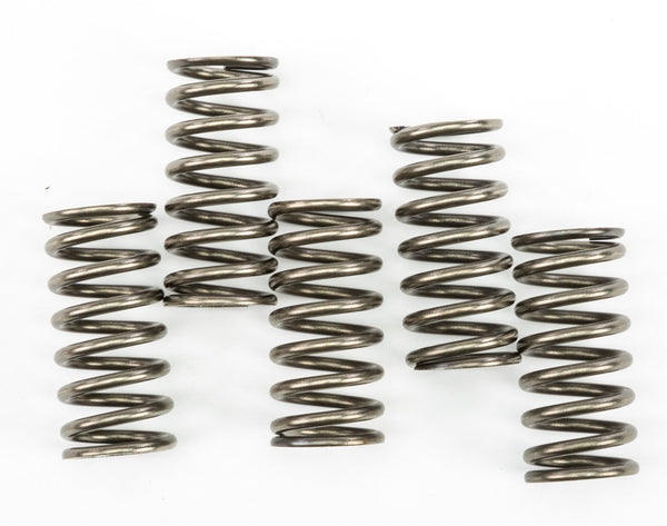 EBC CSK237 Redline Clutch Springs - sxspowersports