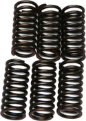 EBC CSK24 Redline Clutch Springs - sxspowersports