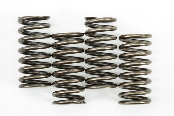 EBC CSK248 Redline Clutch Springs - sxspowersports