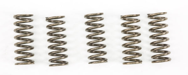 EBC CSK249 Redline Clutch Springs - sxspowersports