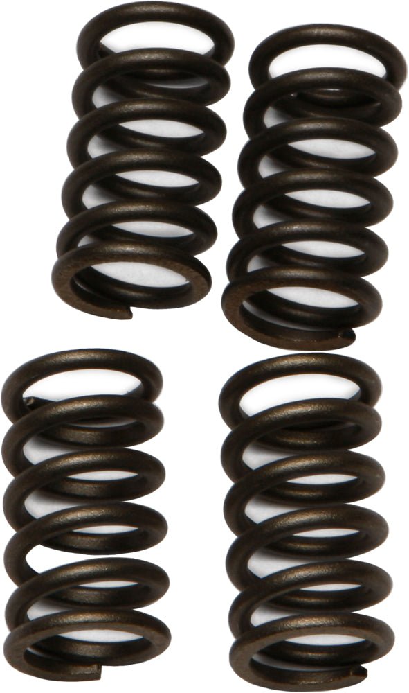 EBC CSK4 Redline Clutch Springs - sxspowersports