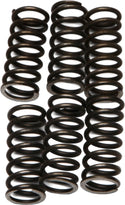 EBC CSK46 Redline Clutch Springs - sxspowersports
