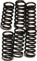 EBC CSK46 Redline Clutch Springs - sxspowersports