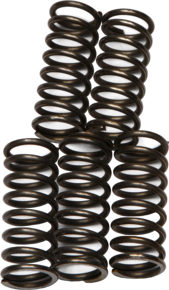 EBC CSK66 Redline Clutch Springs - sxspowersports