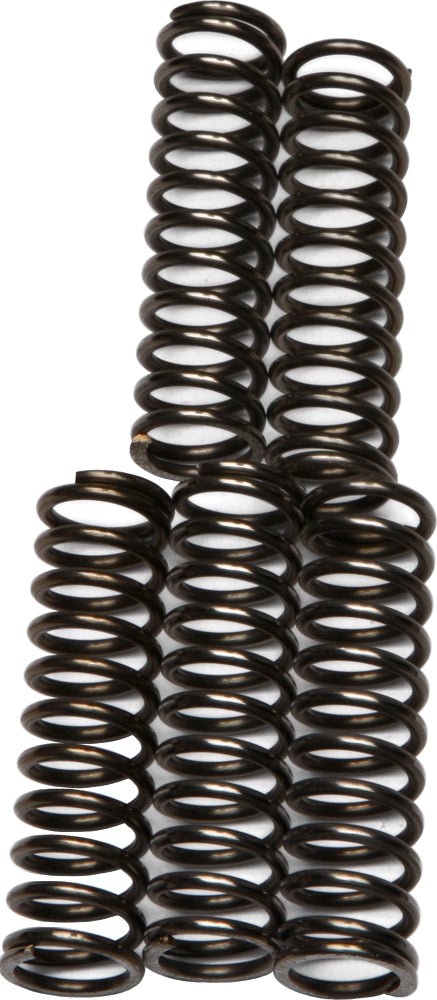 EBC CSK67 Redline Clutch Springs - sxspowersports