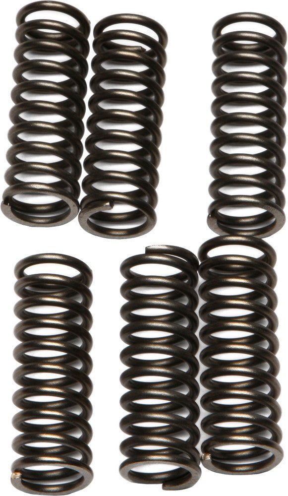 EBC CSK69 Redline Clutch Springs - sxspowersports