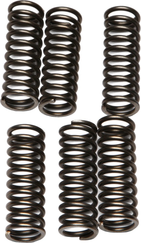 EBC CSK69 Redline Clutch Springs - sxspowersports