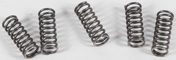 EBC CSK70 Redline Clutch Springs - sxspowersports