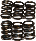 EBC CSK72 Redline Clutch Springs - sxspowersports
