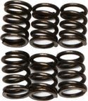 EBC CSK72 Redline Clutch Springs - sxspowersports