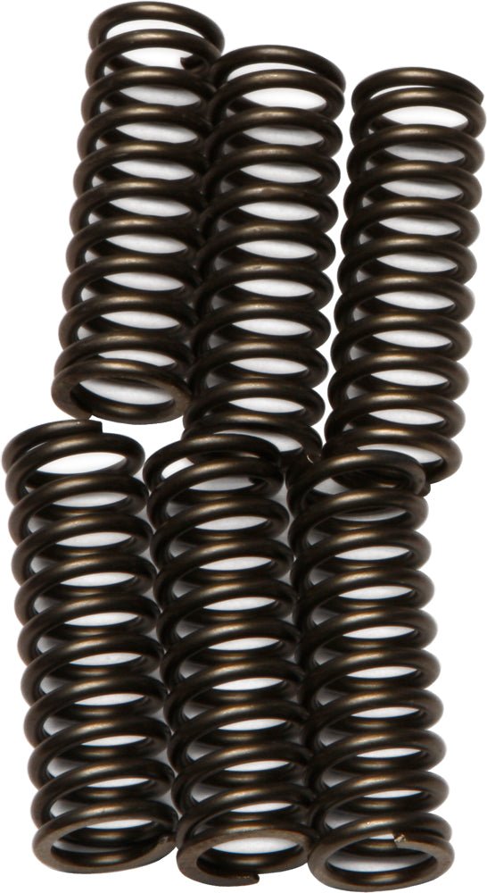 EBC CSK92 Redline Clutch Springs - sxspowersports